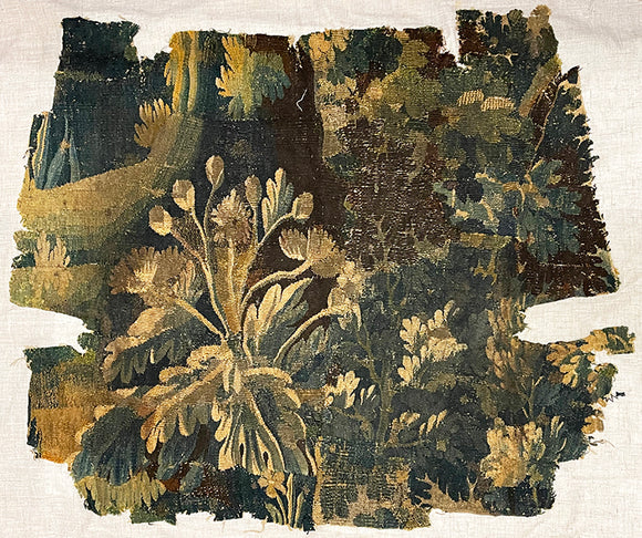 17th Century Brussels Verdure Tapestry Fragment