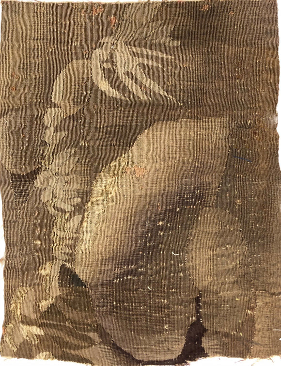 17th Century  Brussels Tapestry Fragment