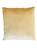 19th Century Aubusson Pillow