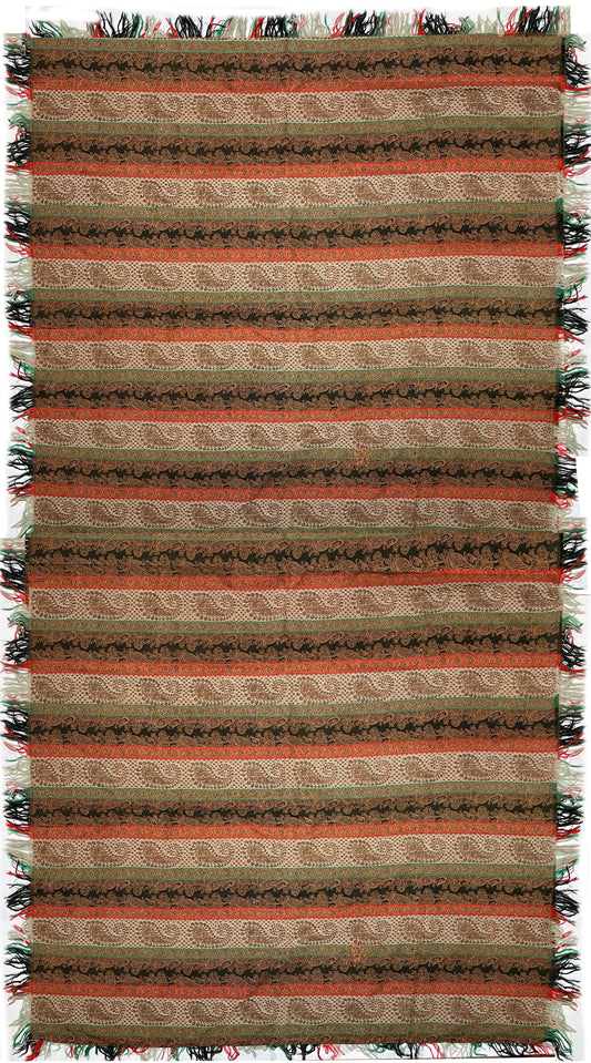 20th Century Indian Wool Paisley ID: T042104
